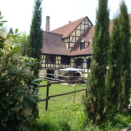 Domaine Du Moulin Im Elsass 3*