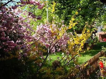 Guest house Domaine Du Moulin Im Elsass