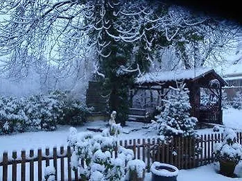 Domaine Du Moulin Im Elsass Guest house