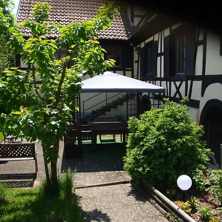 Domaine Du Moulin Im Elsass ゲストハウス ビシュヴィレール