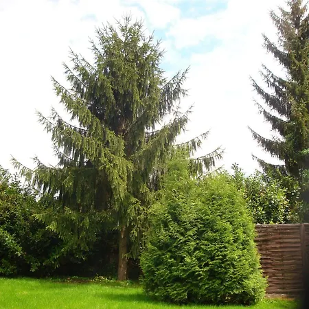 Domaine Du Moulin Im Elsass 3* Bischwiller