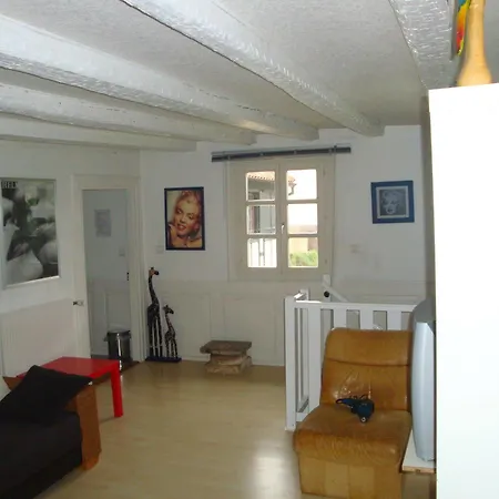 Domaine Du Moulin Im Elsass 3*