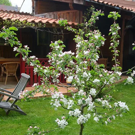 Domaine Du Moulin Im Elsass Guest house Bischwiller