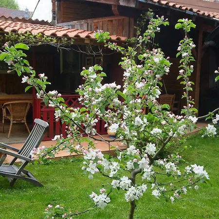 Domaine Du Moulin Im Elsass Affittacamere Bischwiller