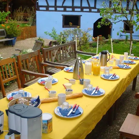 Domaine Du Moulin Im Elsass Guest house