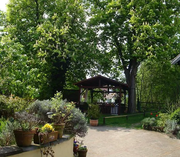 Gæstehus Domaine Du Moulin Im Elsass