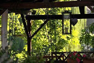 Domaine Du Moulin Im Elsass Bischwiller