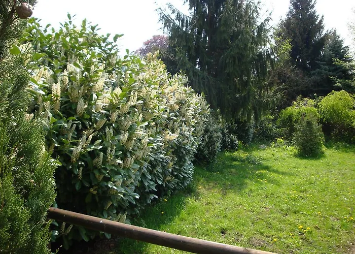 Domaine Du Moulin Im Elsass