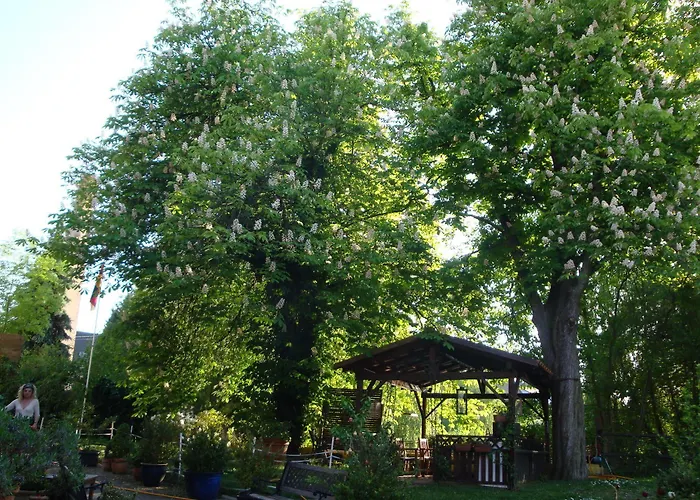 Domaine Du Moulin Im Elsass 3* Bischwiller