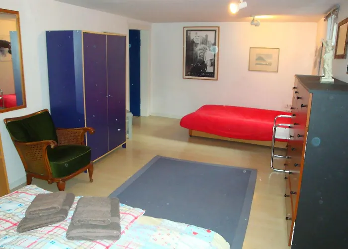 Domaine Du Moulin Im Elsass 3*