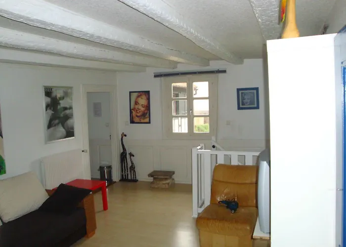 Domaine Du Moulin Im Elsass 3*