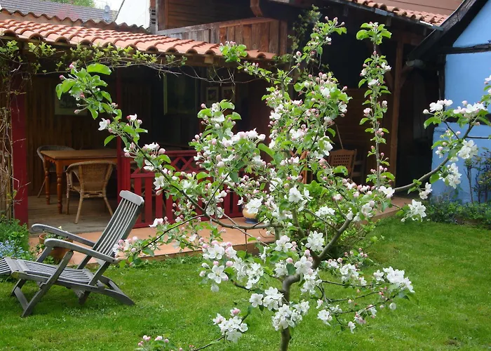 Domaine Du Moulin Im Elsass Gæstehus Bischwiller